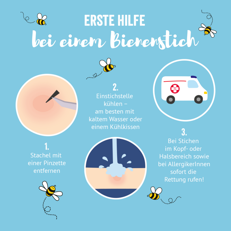 Grafik Erste Hilfe Bienenstich