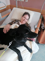 Eine Frau im Krankenhaus mit einem Hund auf ihrem Bett.