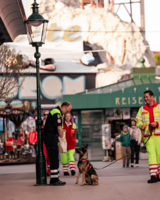 Aufnahme im Prater, Rettungshunde und Rettungshundeführer bei Vorführung, Hund macht Platz, Rettungshundeführerinnen in Uniform