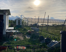 Ein Gewächshaus steht auf einer Wiese, im Hintergrund geht langsam die Sonne unter