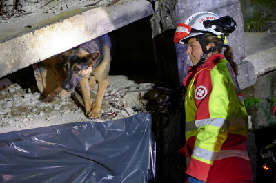 Suchhund im Einsatz bei Übung Achilles24 Katastrophenhilfe