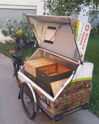 Lastenfahrrad mit Bienenstöcken