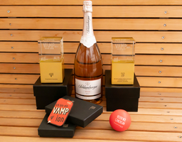 zwei Awards vom VAMP 2024 vor Holzwand, links und rechts aufgestellt auf schwarzen Boxen, dazwischen eine Magnum Schlumberger Flasche, davor Ansteckschild mit Text ich bin ein Vampion sowie Stressball Samariterbund Wien mit Spruch Helfen wir gemeinsam 