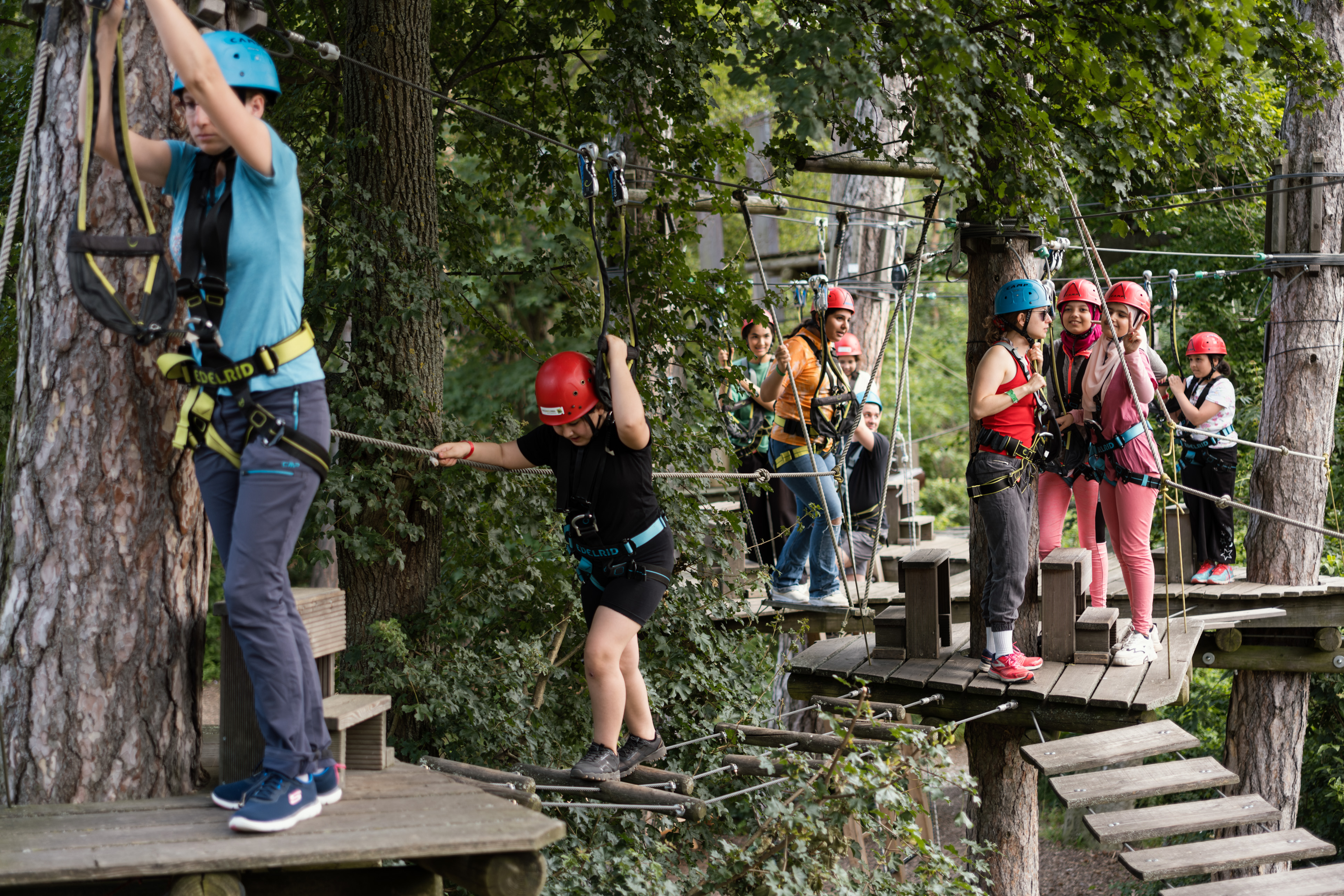 mehrere Kinder im Hochseilklettergarten, mit Sicherheitshelmen und Sicherheitsgurten an verschiedenen 