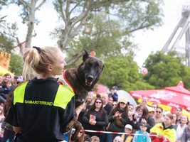 Eine Frau hält einen Hund in den Armen, während die Zuschauer:innen des Tag des Samariterbundes zuschauen.