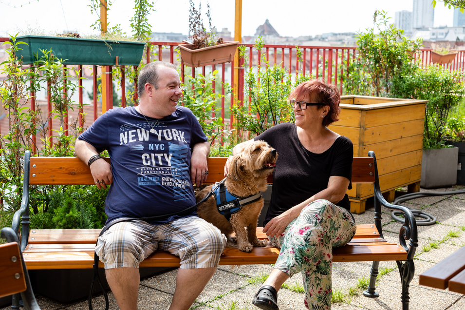 Ein Mann und eine Frau sitzen auf einer Bank mit einem Hund zwischen ihnen.
