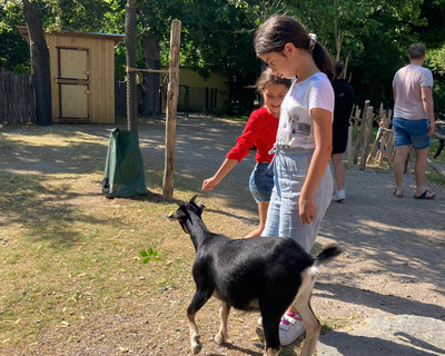 zwei Mädchen im Gehege eines Streichelzoos, schwarze Ziege