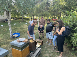 Vorführung beim Sommerfest Haus Riga der Bienenstöcke, die dort im Garten angesiedelt sind, mehrere Personen stehen im Halbkreis und schauen zu