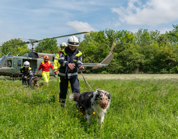 Vier Personen kommen aus Richtung eines Hubschraubers, der in der Wiese steht. Zwei von ihnen haben einen Hund an der Leitung.