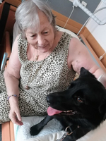 Eine ältere Frau sitzt im Bett und streichelt einen schwarzen Hund.