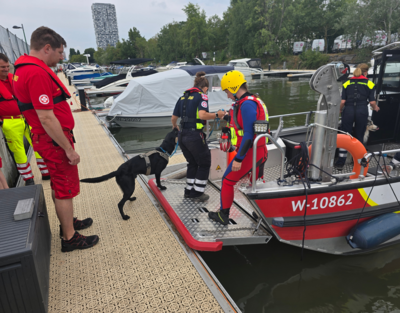 Eine Hundeführerin betretet mit ihrem Hund das Boot.