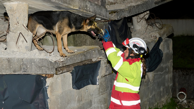 Rettungshund mit Hundeführerin sucht in Trümmern nach Verletzten