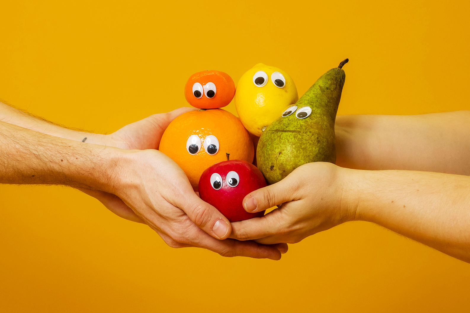 Zwei Menschen bilden große Schale mit den Händen und halten Obst und Gemüse, dem Augen aufgeklebt wurden