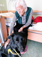 Eine ältere Frau streichelt einen schwarzen Hund in einem Zimmer.