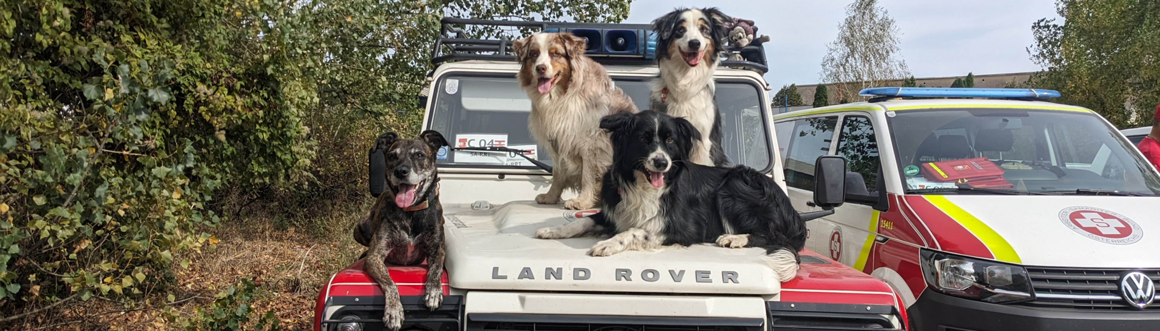 4 Rettungshunde auf einem Samariterbund-Einsatzfahrzeug der Katastrophenhilfe