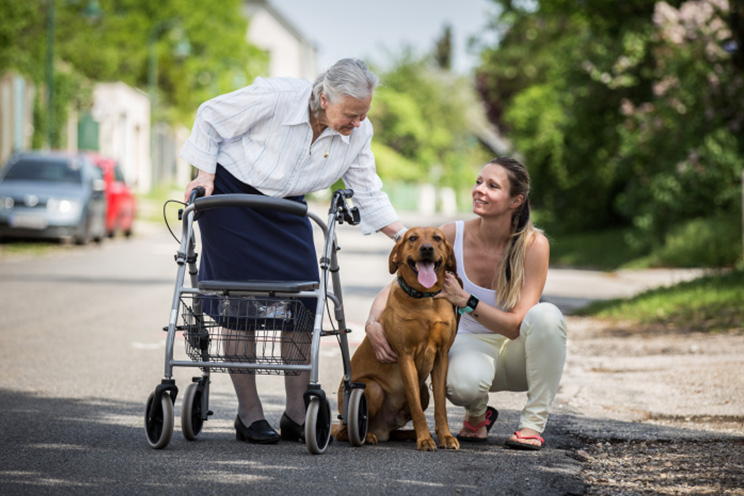 Mitarbeiterin von Besuchsdienst hat ihren Hund dabei und geht mit älteren Dame am Rollator spazieren