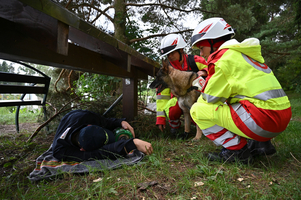 Rettungshund findet Verletzten