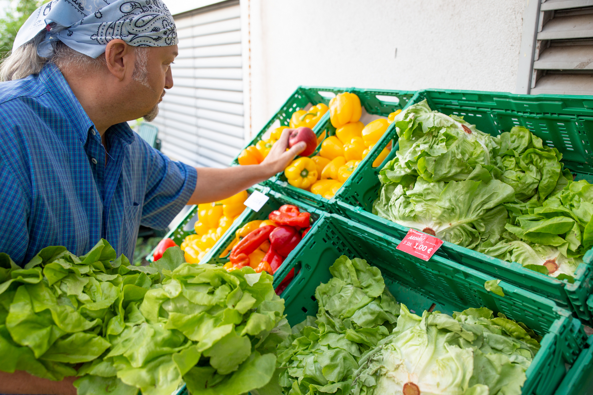 Sozialmarkt - Ehrenamtlicher Mitarbeiter schlichtet Gemüse ein