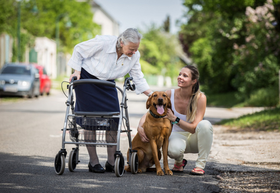 Mann mit Rollator mit Alltagsbegleiterin und großem Hund stehen auf Straße