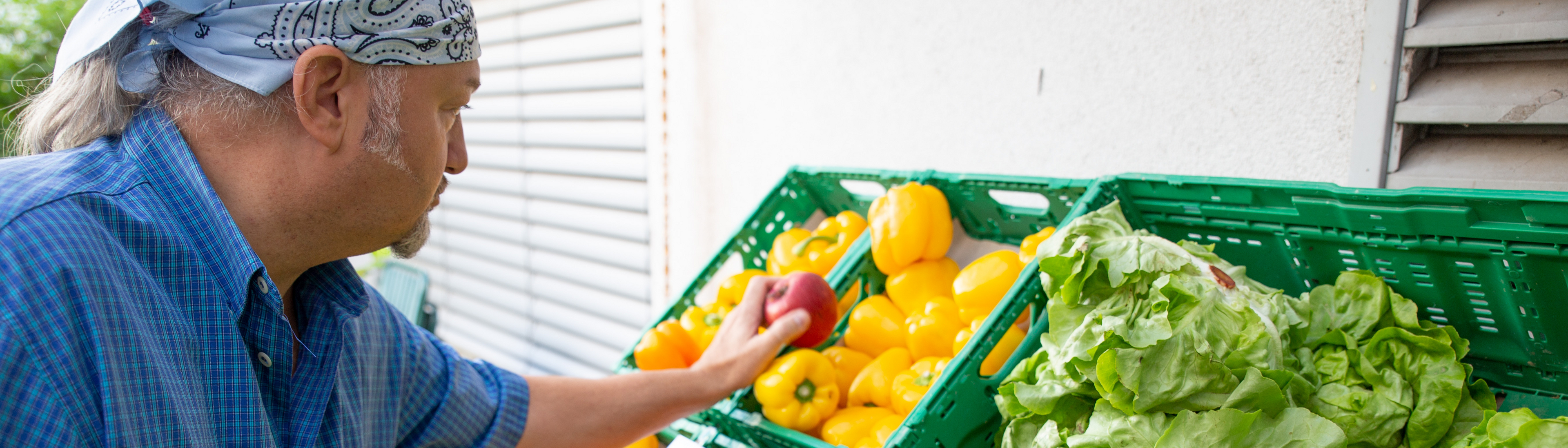Ehrenamtlicher Mitarbeiter schlichtet Obst im Sozialmarkt ein