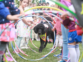 Ein schwarzer Hund läuft durch bunte Reifen, umgeben von Kindern.