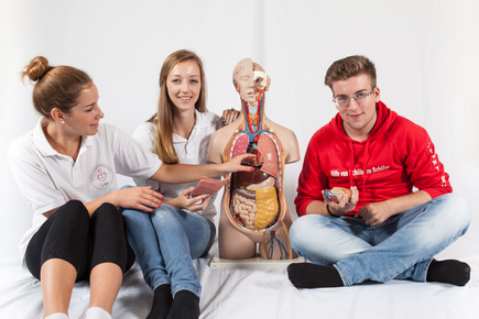 Schulsanitätsdienst – drei Schulsanitäter:innen erklären anhand eines anatomischen Modells die menschlichen Organe